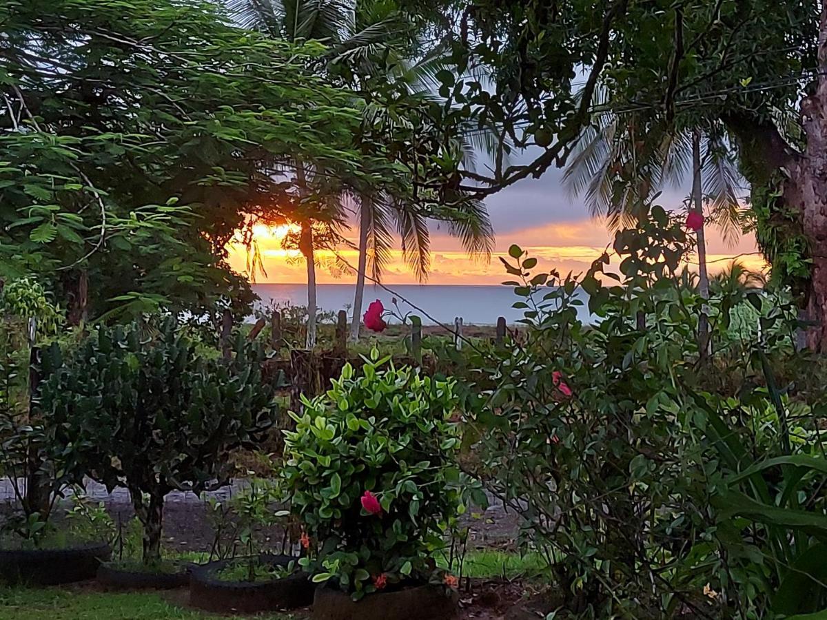 Hotel Gitana Corcovado, Y Tour Operador Drake Bay ภายนอก รูปภาพ