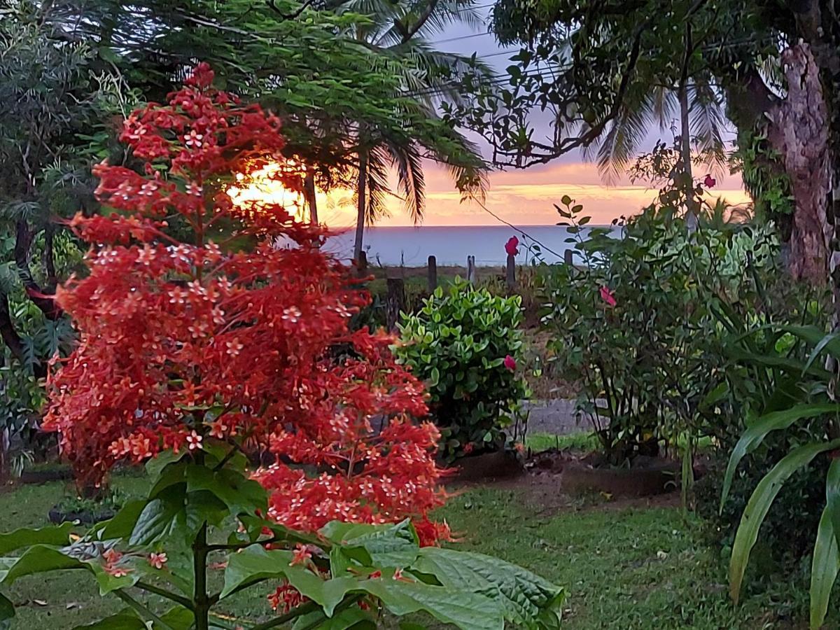 Hotel Gitana Corcovado, Y Tour Operador Drake Bay ภายนอก รูปภาพ