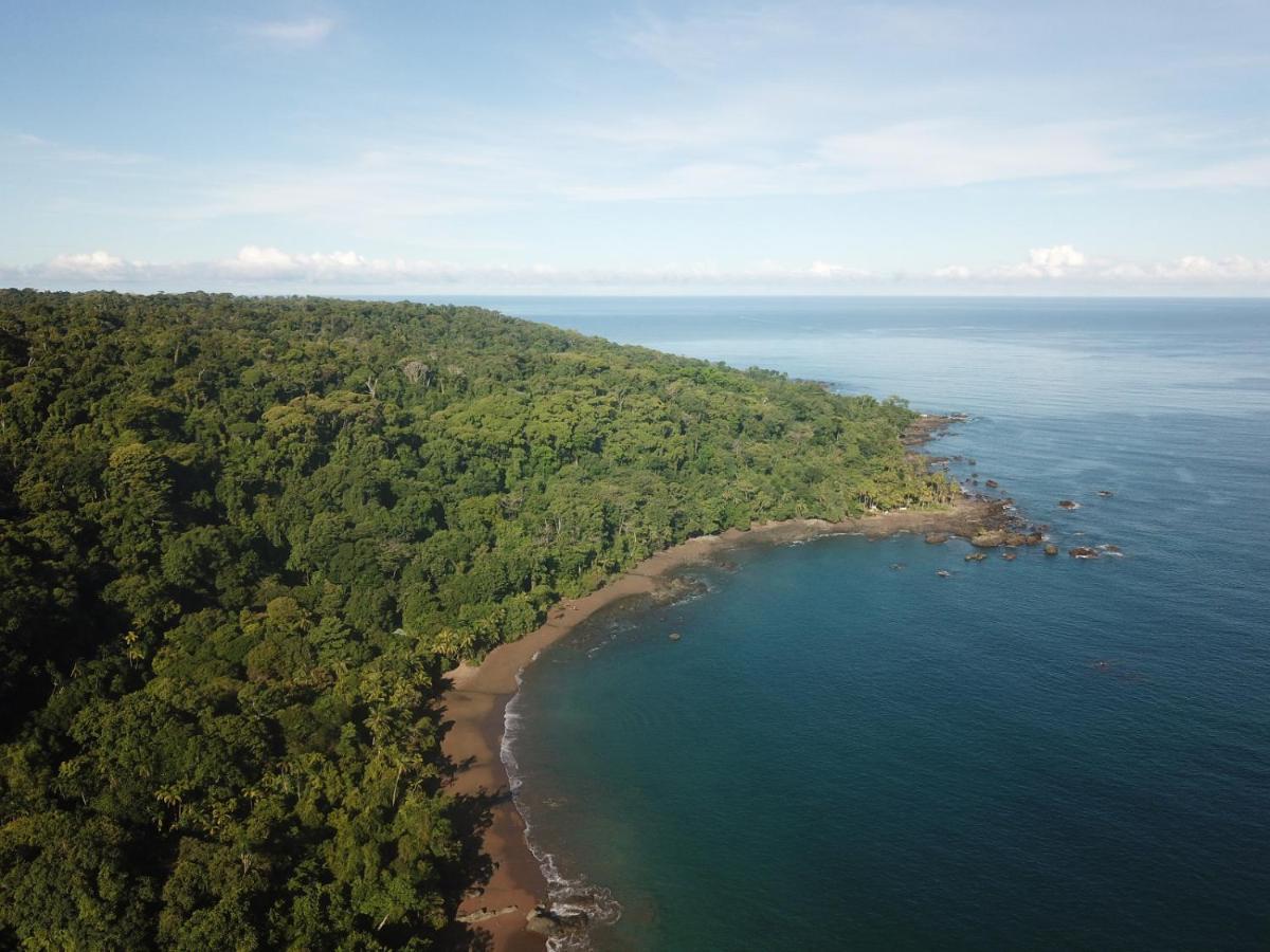 Hotel Gitana Corcovado, Y Tour Operador Drake Bay ภายนอก รูปภาพ