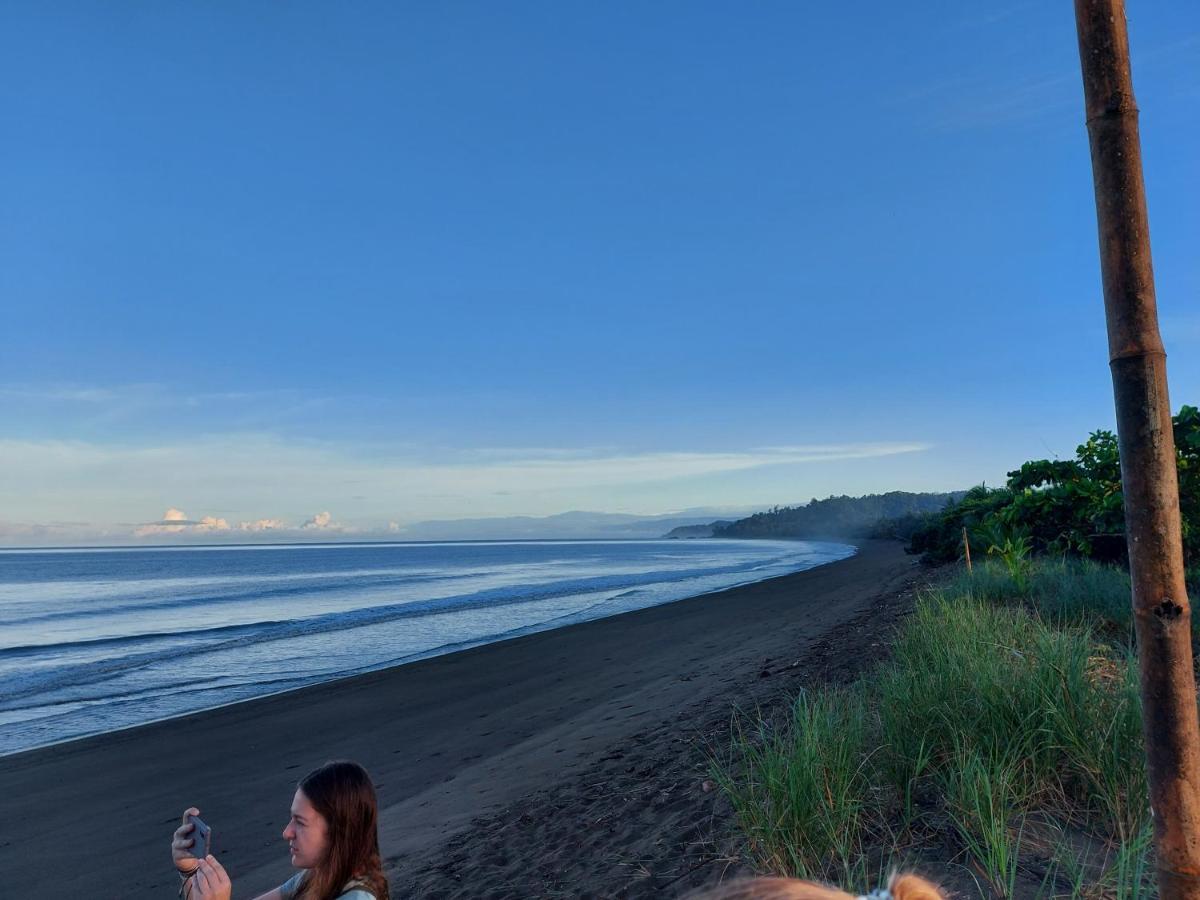 Hotel Gitana Corcovado, Y Tour Operador Drake Bay ภายนอก รูปภาพ