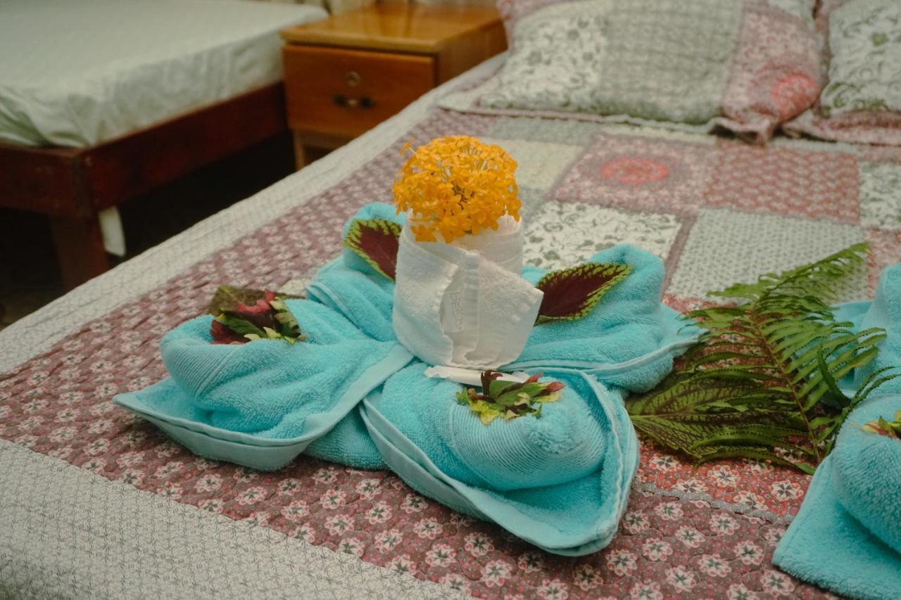Hotel Gitana Corcovado, Y Tour Operador Drake Bay ภายนอก รูปภาพ