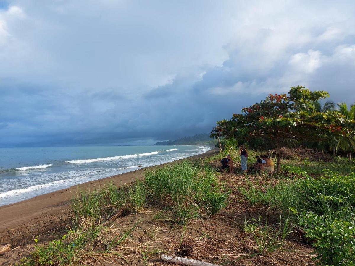 Hotel Gitana Corcovado, Y Tour Operador Drake Bay ภายนอก รูปภาพ