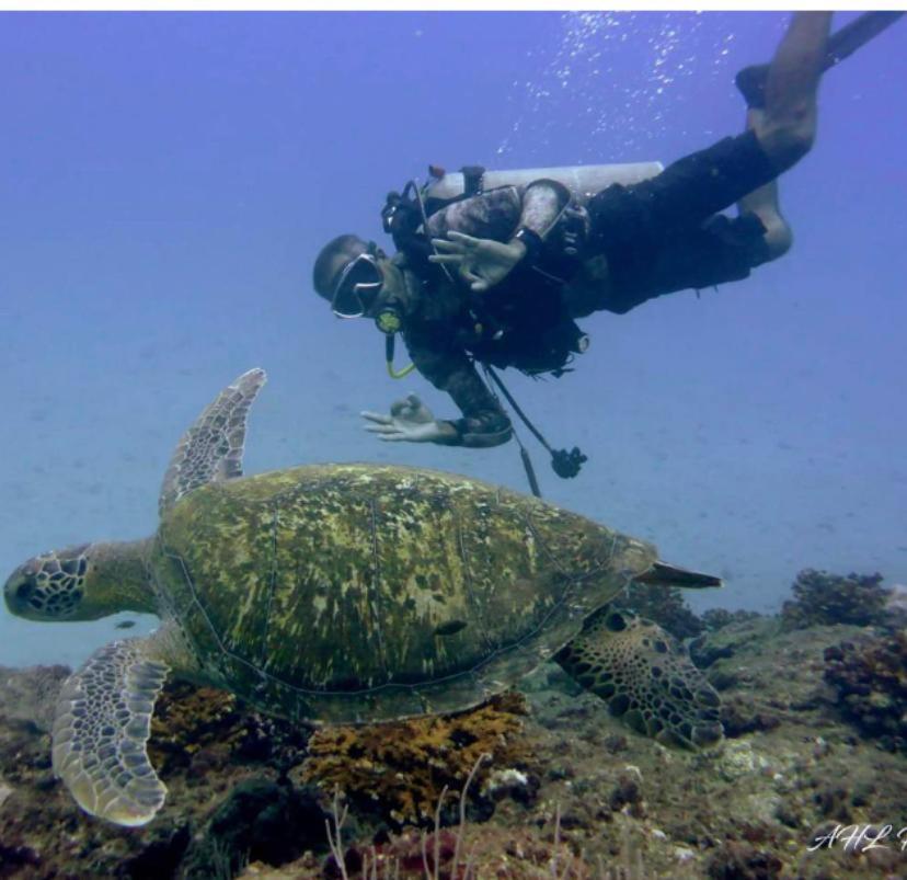 Hotel Gitana Corcovado, Y Tour Operador Drake Bay ภายนอก รูปภาพ