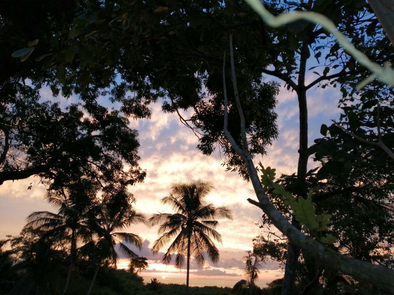 Hotel Gitana Corcovado, Y Tour Operador Drake Bay ภายนอก รูปภาพ